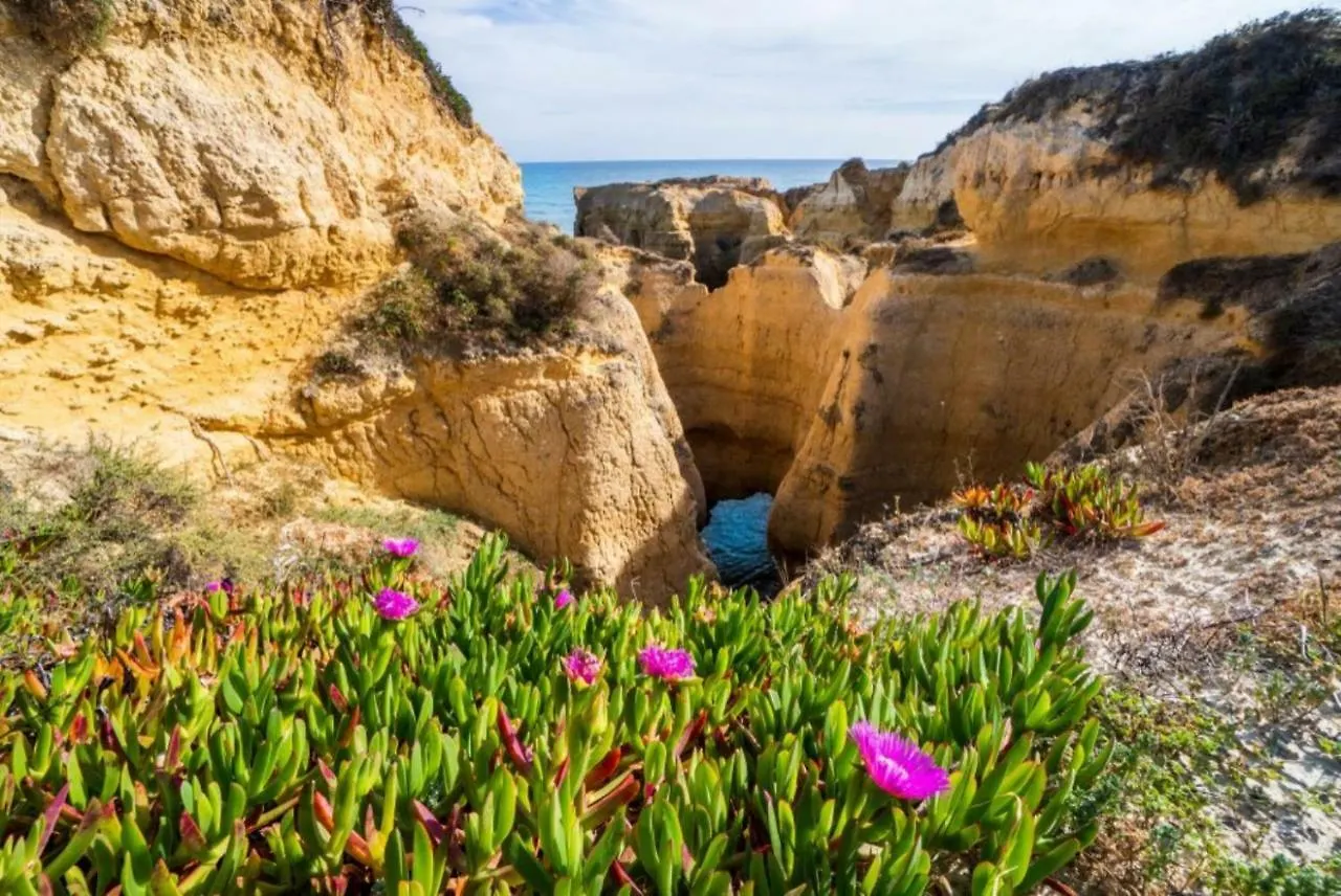 Monte Branco Villa Albufeira